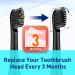 Toothbrush Replacement Heads for Colgate Hum - Compatible 360 Power Charcoal Brush Heads 8 Count - Deep Clean Black - Buy Online on GoSupps.com