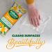 Zoflora Springtime Biodegradable Wipes Antibacterial Multi-surface Cleaning Wipes Convenient Quick Cleaning (Pack of 1 96 Wipes) - Buy Online on GoSupps.com