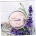 Hemoton 18 Pcs Eye Shadow Brush Cream Eyeshadow Lip Brush Eyeshadow Brush Kit Transparent Plastic Handle - Buy Online on GoSupps.com