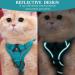 Fineasy Adjustable Cat Harness & Dishes - Safe Cat Neck Leash & Soft Harness for Cats | Green (M) - Buy Online on GoSupps.com