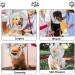 MEISIO Collar Soft Cotton Protective Cat Cone Dog Cone Adjustable Cat Cone Pet Recovery Collar Pet Cone Collar .After Surgery Recovery to Prevent from Biting Scratching (M) 66*33cm - Buy Online on GoSupps.com