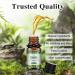 Hyppry Woody Essential Oils Set - 6x10ml Premium Natural Aromatherapy Oils for Diffuser & Home Fragrance - Sandalwood, Cedarwood, Cypress, Pine, Teakwood, Agarwood - Buy Online on GoSupps.com