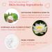 Loose Setting Powder - Translucent Oil Absorbing Mattifying & Blurring Pores - 0.35 Oz 01 Clear White | Shop Internationally - Buy Online on GoSupps.com