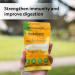 Herbaland Turmeric & Ginger Gummies Snacks with Benefits Vegan Low-Sugar High-Fiber Gluten-Free 40mg of Organic Turmeric & 10g of Organic Tapioca Fiber Per Pouch Pineapple Flavor 12 x 40g (Box of 12) Compostable Pouch - Buy Online on GoSupps.com