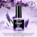 Fandamei Cuticle Oil 2PCS - Moisturizing Nail Care with Lavender - Nourishes, Soothes, and Strengthens Dry Cracked Cuticles - 0.42 oz - Buy Online on GoSupps.com