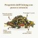 Peach Oolong Tea Organic 100g (50 Cups) | Organic Loose Leaf Oolong Tea with Peach and Orange | REPLANTEA - Buy Online on GoSupps.com