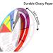 Color Wheel Paint Mixing Guide Set - 2 Pieces | Art Class Teaching Tool for Makeup & Painting | 9.05 Inch/23 cm Diameter - Buy Online on GoSupps.com