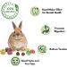 Lacrima Rabbit Chew Toys Donuts 13PCS - Natural Bunny & Guinea Pig Teeth Health Treats - Buy Online on GoSupps.com