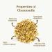 Chamomile Tea Loose Organic 100g (50 Cups) | European Chamomile Flowers Clean and Dried REPLANTEA - Buy Online on GoSupps.com