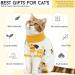 Dertrun Cat Surgery Soft Romper - Anti-Lick Abdominal Wound Suit for Male & Female Kittens - Post-Surgery Collar Cone Replacement - Yellow - Buy Online on GoSupps.com