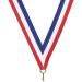 Express Medals Basketball Award Medals 10 Pack - Assorted Styles with Neck Ribbons | Trophy Prize Gift Design 55 - Buy Online on GoSupps.com