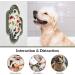 Ohmo Lick Mat for Dogs & Cats - 2pcs Cactus Design Silicone Feeding Mat for Fear Relief & Slow Feeding - Ideal for Puppies & Kittens - Buy Online on GoSupps.com