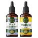 HERBAMAMA Herbal Liquid Drops Kit - Bundle of Black Elderberry Extract and Mullein Leaf Tincture 4 fl oz - Vegan Non-GMO Sugar & Alcohol-Free - 2 Pack