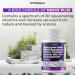 Sciatic Nerve Health Support - Sciatic Nerve Supplement Capsules with Folic Acid Pea Glucosamine MSM Vitamin B Complex Alpha Lipoic Acid 300mg 60ct Made in USA 60 Count (Pack of 1) - Buy Online on GoSupps.com
