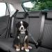Buy Slowton Dog Harness with Seat Belt - Breathable Safety Harness for Puppies | Dark Gray S - International Shipping Available - Buy Online on GoSupps.com