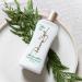 Buy Panama Jack Aloe Moisturizer Lotion - After Sun Daily Skincare with Olive & Hemp Seed Oils 8 FL OZ - International Shipping Available - Buy Online on GoSupps.com