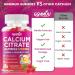 GGMMUU Calcium Citrate Gummies 1200mg High Absorption Calcium Supplements for Women & Men Sugar Free Calcium Gummies for B0ne Muscle & Immune Support Non-GMO Vegan Raspberry Flavor 60 Count - Buy Online on GoSupps.com