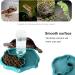BEANPRECOY Reptile Water Dispenser Turtle Water Bowl 2 in 1 Reptile Automated Feeder Turtle Water Dispenser with Bottle for Turtles Hamsters Lizards Bearded Dragon Snake (Blue) - Buy Online on GoSupps.com
