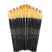Transon 20pcs Art Painting Brush Set for Acrylic Watercolor Gouache Hobby Craft Face Painting Black