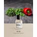 EYFEL Perfume for Men M45 INSPIRED BY EUPHORIA Eau de Parfum Spray Men s Cologne EDP 50 ml / 1.76 FL. OZ. - Buy Online on GoSupps.com