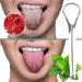Buy Creative Fashion Stainless Steel Tongue Cleaner - Easy to Use Tongue Freshener & Mouth Care Scraper for a Clean Mouth | International Shipping Available - Buy Online on GoSupps.com
