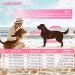 Emust Adjustable Dog Life Jacket - Pink Mermaid for Small/Medium/Large Dogs | Water Safety Vest with Rescue Handle for Swimming Pool - Buy Online on GoSupps.com