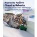 Petstages Lil' Avocato Catnip Cat Chew Toy for Dental Health - Buy Online on GoSupps.com