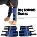 EVTSCAN 1 Pair Supportive Dog Leg Braces Reflective Designed Dog Front Leg Protector for Injury/Sprains/Instability/Anthritis(L-Blue) L Blue - Buy Online on GoSupps.com