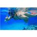 Panoramic HD Snorkel Diving Mask | Anti-Fog Scuba Goggles for Adults & Youth - A-Black Red - Buy Online on GoSupps.com