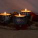 24 DIY Candle Tins - TOKSEO 4oz Round Containers with Lids for Candle Making - Buy Online on GoSupps.com