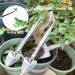 2-Piece Stainless Steel Tweezers Set | Double Pliers for Gardening Aquatic Plants & Reptiles - 23cm Feeding Tools - Buy Online on GoSupps.com