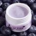 Pilgrim Spanish Squalane Lip Scrub (Blueberry) - Exfoliate & Hydrate Lips | Gentle Sugar & Shea Butter Formula for Smooth Soft Lips | 8 gm | Unisex - Buy Online on GoSupps.com