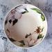 SHAOHUASC Creative Flower Series Plate Lily Flower deep Dish