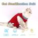 CLLRYBO Katzenbody - After Surgery Recovery Suit for Cats | Red Medium - Pet Medical Surgical Shirt - Buy Online on GoSupps.com