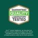 21st Century St. John's Wort Extract - 60 Vegetarian Capsules for Mood Support - Buy Online on GoSupps.com