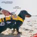 Buy Ezydog DFD Life Jacket for Dogs - Adjustable Reflective XL Red - Ideal Swimming Safety Gear - Buy Online on GoSupps.com