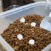 desiccant for cat food food safe desiccant Keep cat and dog food dry and fresh - Portable desiccant bag for dog and cat feeders for dog food - Buy Online on GoSupps.com