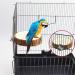 BrilliantDay 8-Piece Parrot Toys Set - Wooden Swing Seat & Platform for Parrots Love Birds & Nymphensittisch - Perfect Bird Enrichment - Buy Online on GoSupps.com