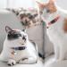Lafayi 7-Piece Cat Collar Set with Bells & Fruit Pendants | Adjustable Cat Necklaces (18-30cm) | Safe Pet Accessories & Supplies - Buy Online on GoSupps.com