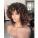 Annivia Short Curly Wig for Black Women with Bangs | Soft Synthetic 2Tone Ombre Darkest Brown Afro Wig - Buy Online on GoSupps.com