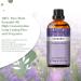 PHATOIL Lavender Essential Oil 30ML - Premium Grade Pure Oil for Diffusers, Aromatherapy & Candle Making - Buy Online on GoSupps.com