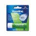 Vaseline Lip Therapy Aloe Vera | Tinted Lip Balm | Lipstick with Aloe Vera and Vitamin E (Aloe Vera 1 x 4.8g)
