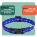 Dey Premium Reflective Dog Collar - Adjustable Nylon Neck Band for Small & Large Dogs Many Colors & Sizes Blue XS (21-30 cm) - Buy Online on GoSupps.com