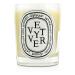 Buy Diptyque Vetyver Scented Candle 190g | Premium Fragrance for Home | International Shipping Available - Buy Online on GoSupps.com