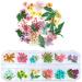 1 Box Dried Flowers for Nail Art  UNIME 16 Colors Dry Flowers Mini Real Natural Flowers Nail Art Supplies 3D Applique Nail Decoration Sticker for Tips Manicure Decor (Mixed Gypsophila Flowers)