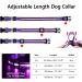 Masbrill LED Luminous Dog Collar - Waterproof Illuminated Safety with 3 Flashing Lights for Small Medium & Large Dogs - Purple XS (25-35cm) - Buy Online on GoSupps.com
