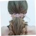 Didiseaon Hair Clip Rhinestones Barrettes Tiara Rhinestone Bobby Pins Barrettes for Women Ponytail Metal Hair Miss Purple Metal Hair Clips - Buy Online on GoSupps.com