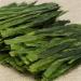 Th Vert Th Matcha Nature 100g Taiping Houkui bon th chinois - Buy Online on GoSupps.com