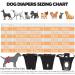 Washable Leaving 3-Pack Functions for Dogs - Durable & Eco-Friendly Dog Supplies - Buy Online on GoSupps.com