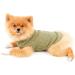 Paidful Striped Cotton T-Shirt for Small Dogs - Summer Apparel for Puppies Chihuahuas & Yorkies | XXL Yellow (Back Length 40cm Bust 52cm) - Buy Online on GoSupps.com